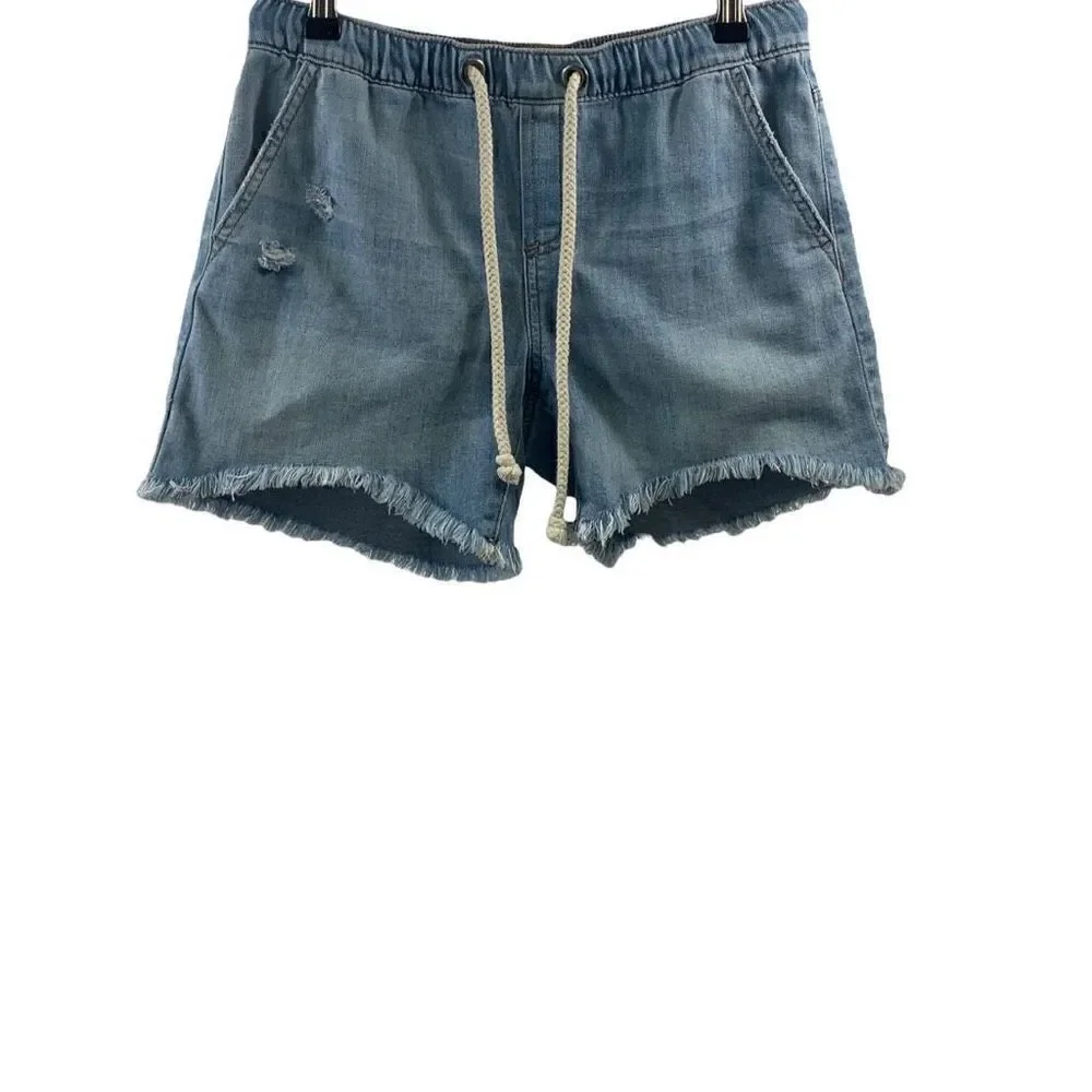 Aerie Denim Distressed Shorts Size XS